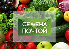 Почта поможет садоводам Томской области подготовиться к дачному сезону